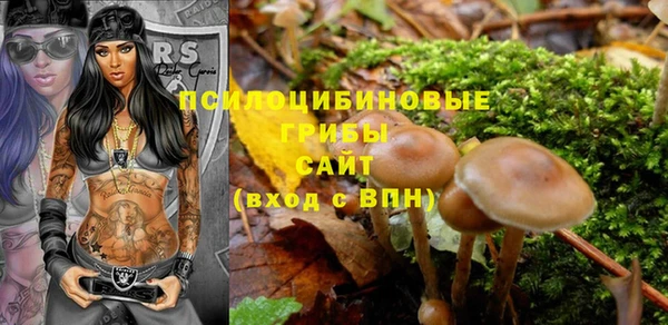 спайс Гусиноозёрск